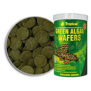 TROPICAL Green Algae Wafers 250 ml/113 g