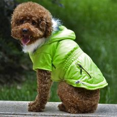 Bunda pro psa s imitací kapes na zip - neonově zelená, XS
