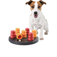 Interaktivní hračky pro psy