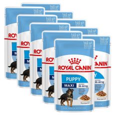 Kapsička Royal Canin Maxi Puppy 10 x 140 g