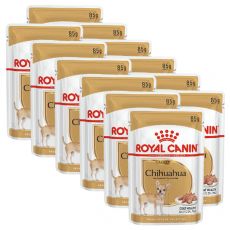 ROYAL CANIN ADULT ČIVAVA 12 x 85 g - kapsička