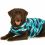 Pooperační oblečení pro psa XL kamufláž modrá