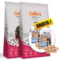 Calibra Dog Premium Line Adult Beef 2 x 12 kg NEW + DÁREK