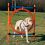Agility překážka pro psy, kruh 115x65 cm