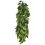 Ficus silk large - rostlina do terária, 70 cm