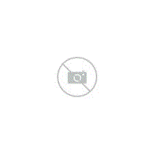 Julbo CAMINO Spectron 3 Polarized