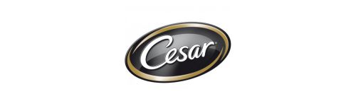 CESAR CESAR