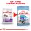 ROYAL CANIN GIANT STARTER M&B 15 kg