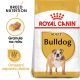 ROYAL CANIN ANGLICKÝ BULLDOK 12 kg