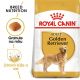 ROYAL CANIN GOLDEN RETRIEVER 3 kg