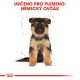 ROYAL CANIN NĚMECKÝ OVČÁK JUNIOR 12 kg