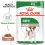 Pouch Royal Canin Mini Adult 12 x 85 g
